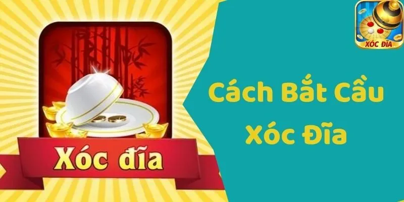 Cách Bắt Cầu Xóc Đĩa Chính Xác Đến 99% Cho Người Mới